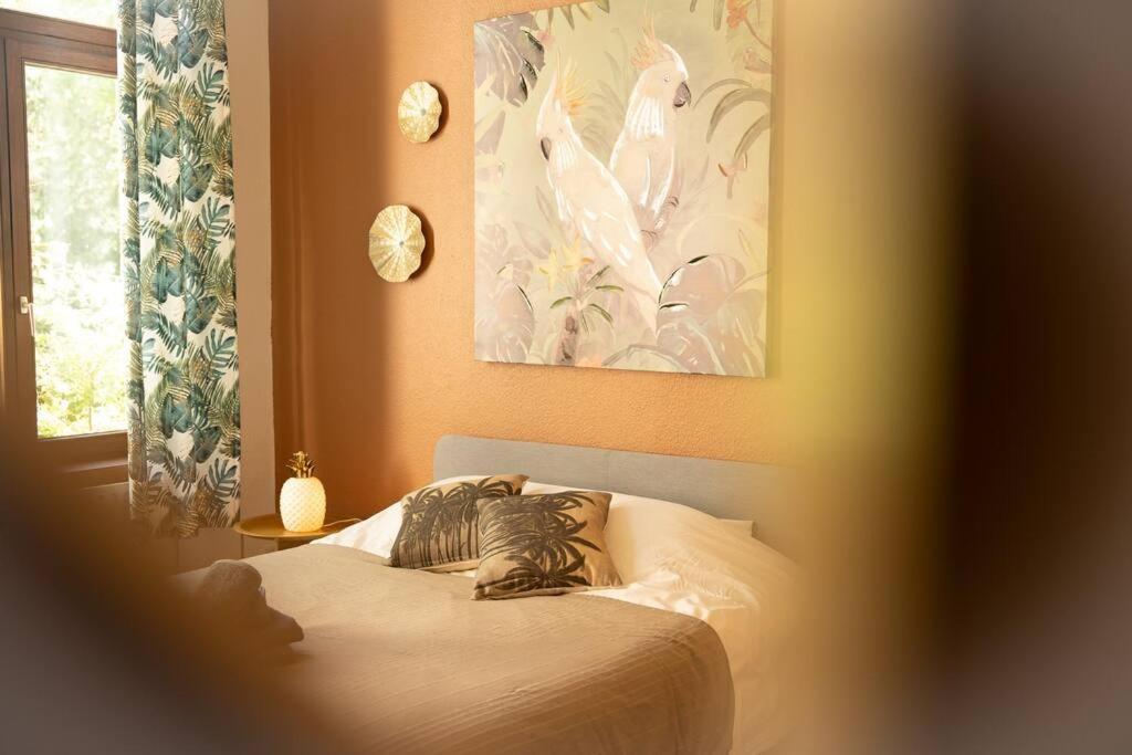 Camelia, Un Charme Montois Vila Mons Exterior foto